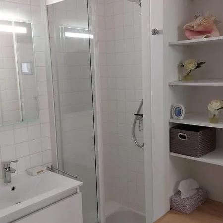 Arcachon, De Printemps - T2 Avec Jardin A 250m Des Plages - Fr-1-433-91 * Arcachon